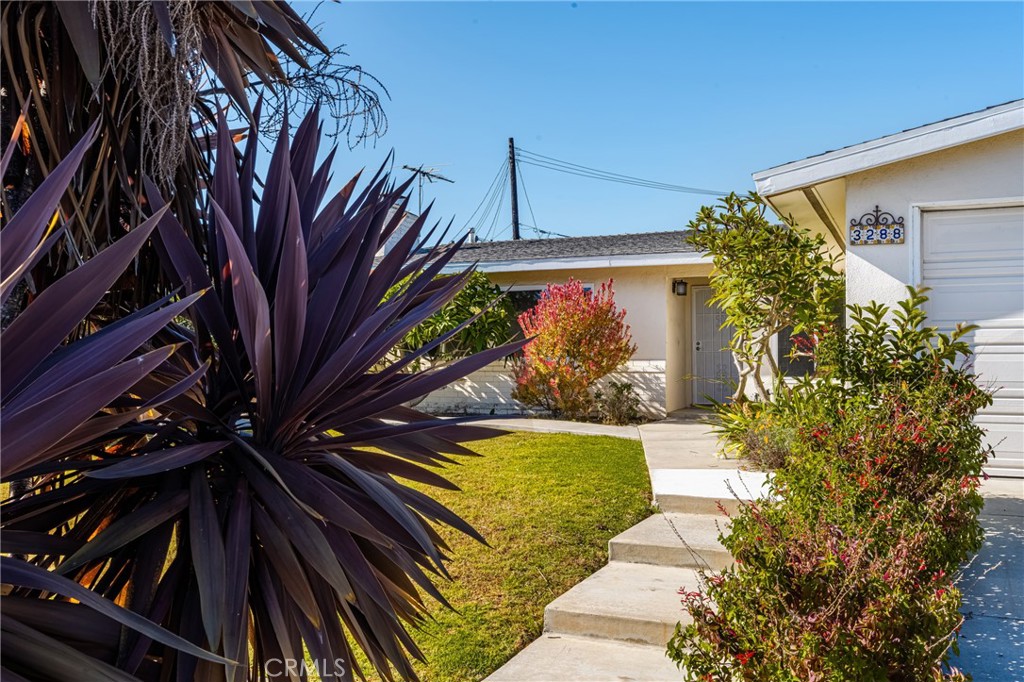 3288 Arizona Lane Costa Mesa, CA 92626 - Photo 3 of 33 a view of backyard with plants