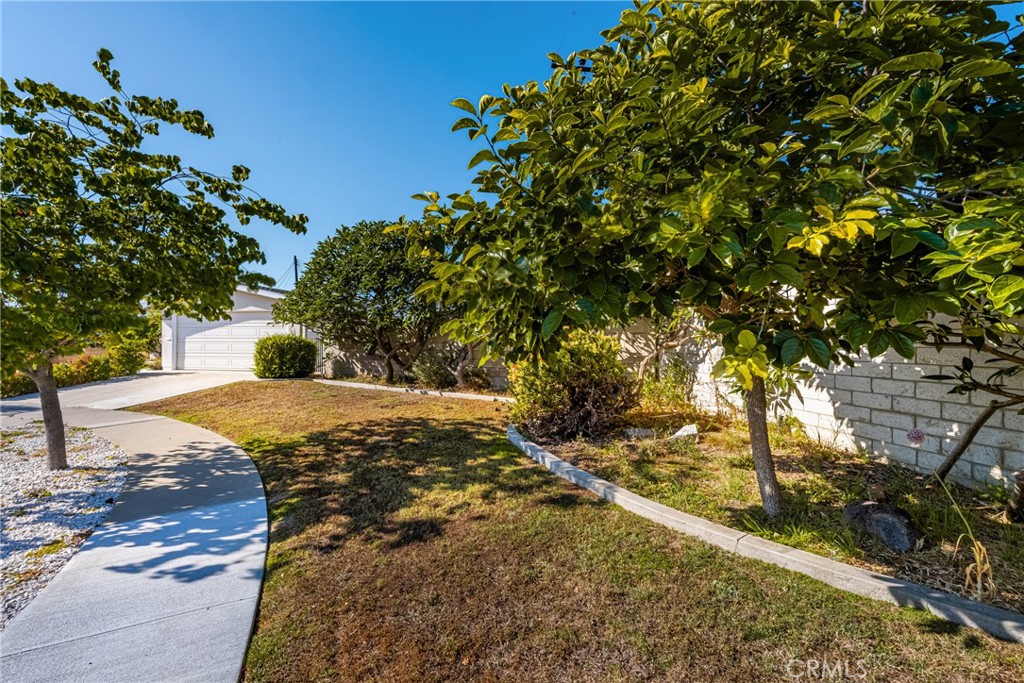 3288 Arizona Lane Costa Mesa, CA 92626 - Photo 33 of 33 a view of a yard with plants