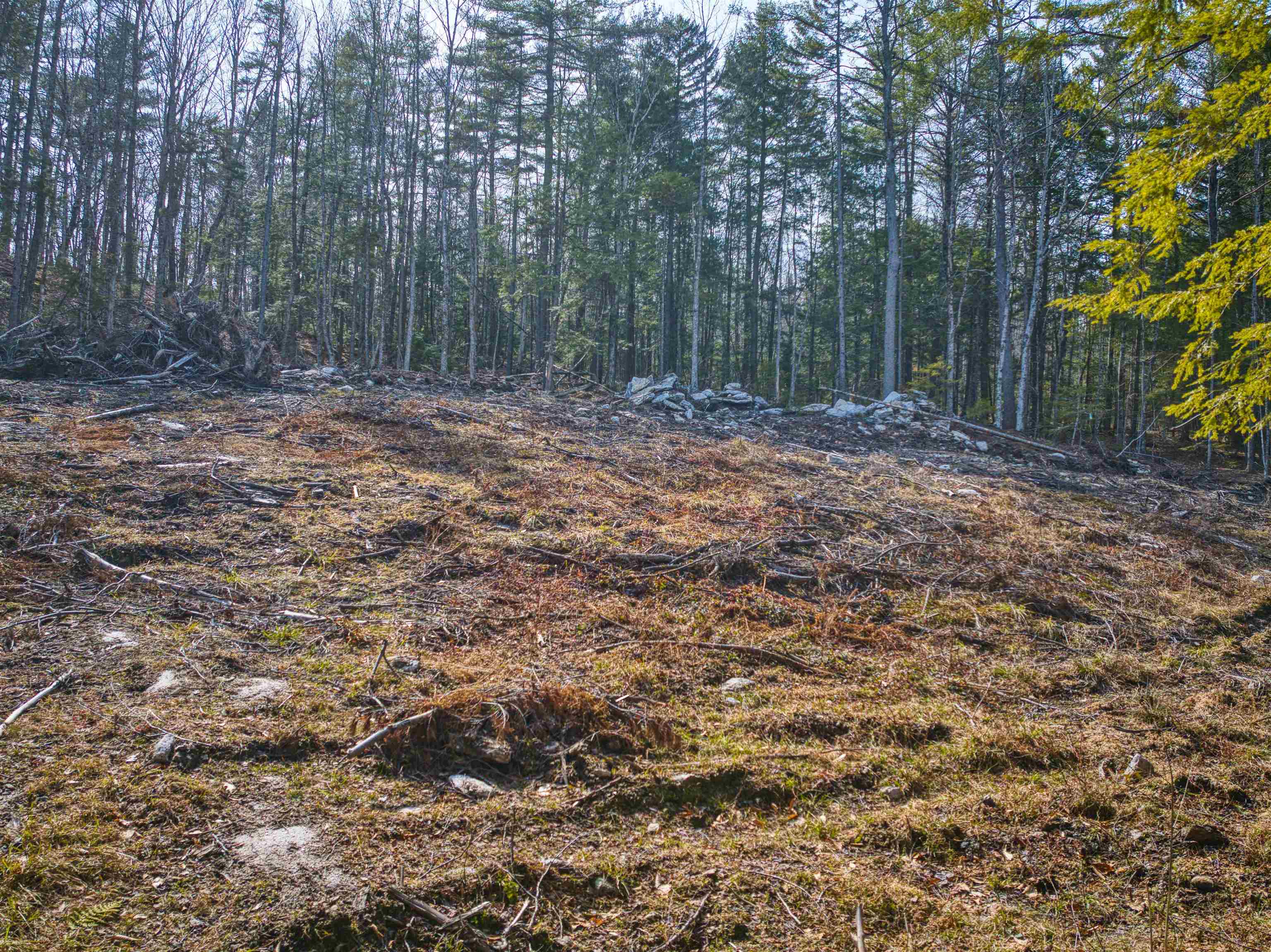 0 Hominy Pot Road Bradford, NH 03221 - Photo 7 of 11
