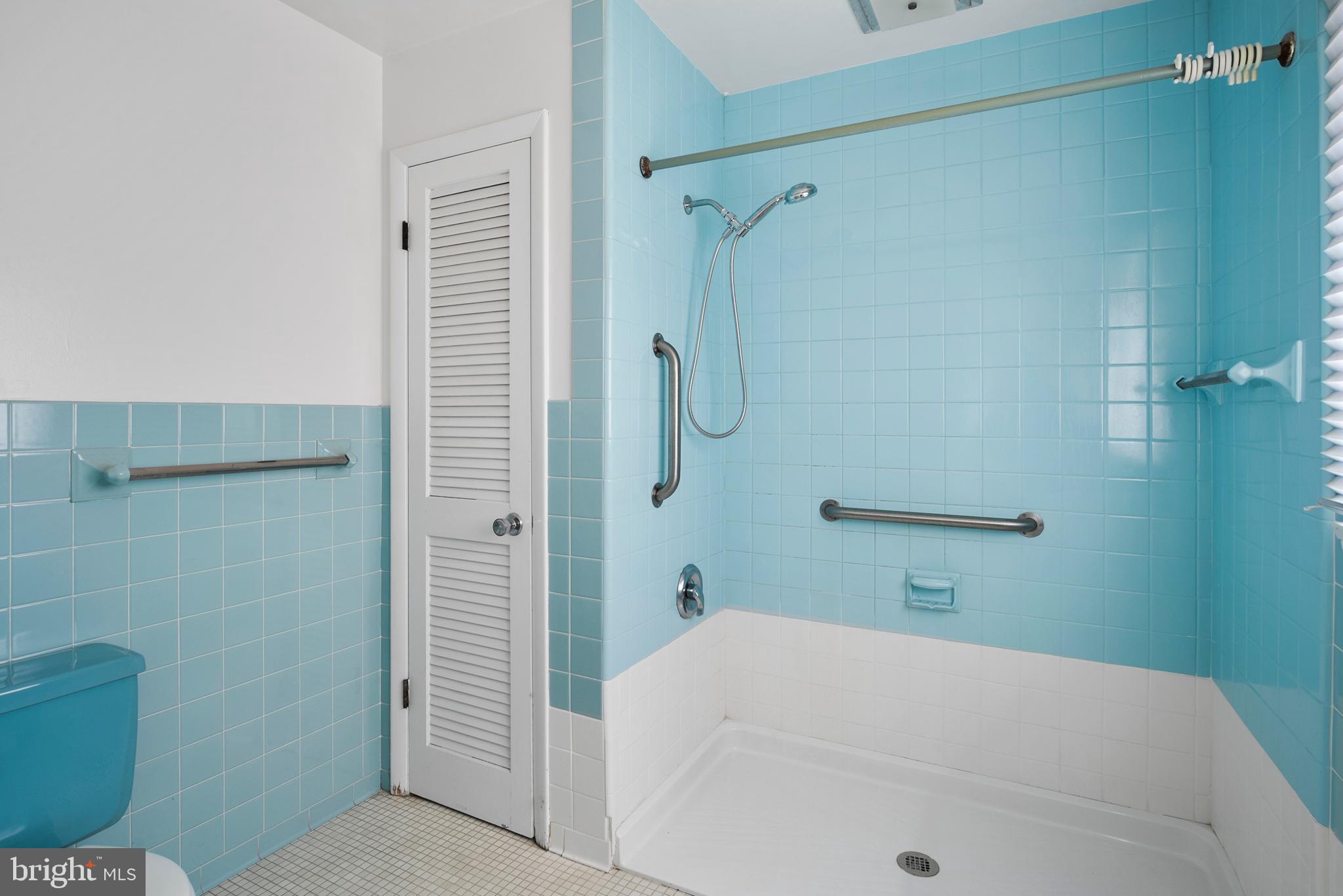 204 River Road Chestertown, MD 21620 - Photo 33 of 68 Roll in shower in owners' bath