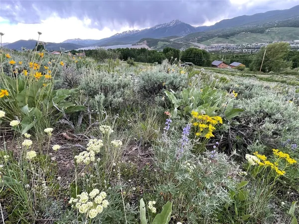 $935,000 | 371 Z Road, Silverthorne, CO 80498
