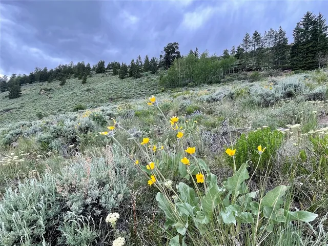 a view of a large building with mountains in the background