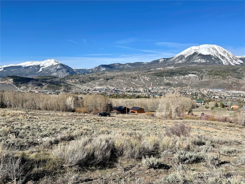 371 Z Road Silverthorne, CO 80498 - Photo 2 of 35 a view of a dry yard with wooden fence