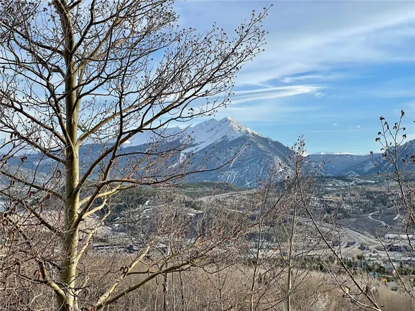 $935,000 | 371 Z Road, Silverthorne, CO 80498