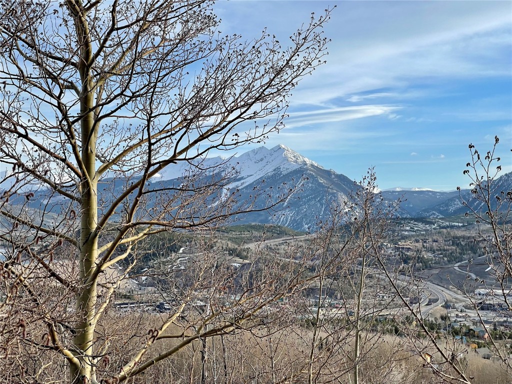 371 Z Road Silverthorne, CO 80498 - Photo 35 of 35 a view of a yard with a tree