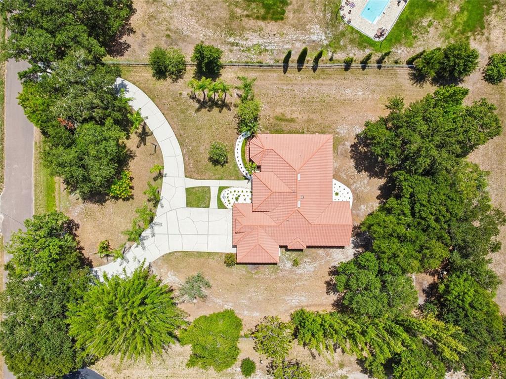 9619 Springbrook Drive Riverview, FL 33578 - Photo 55 of 55