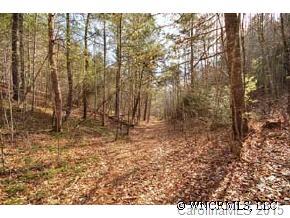 952 Calvin Edney Road Mars Hill, NC 28754 - Photo 2 of 4 Gallery Image 2