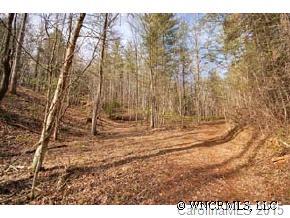 952 Calvin Edney Road Mars Hill, NC 28754 - Photo 3 of 4 Gallery Image 3