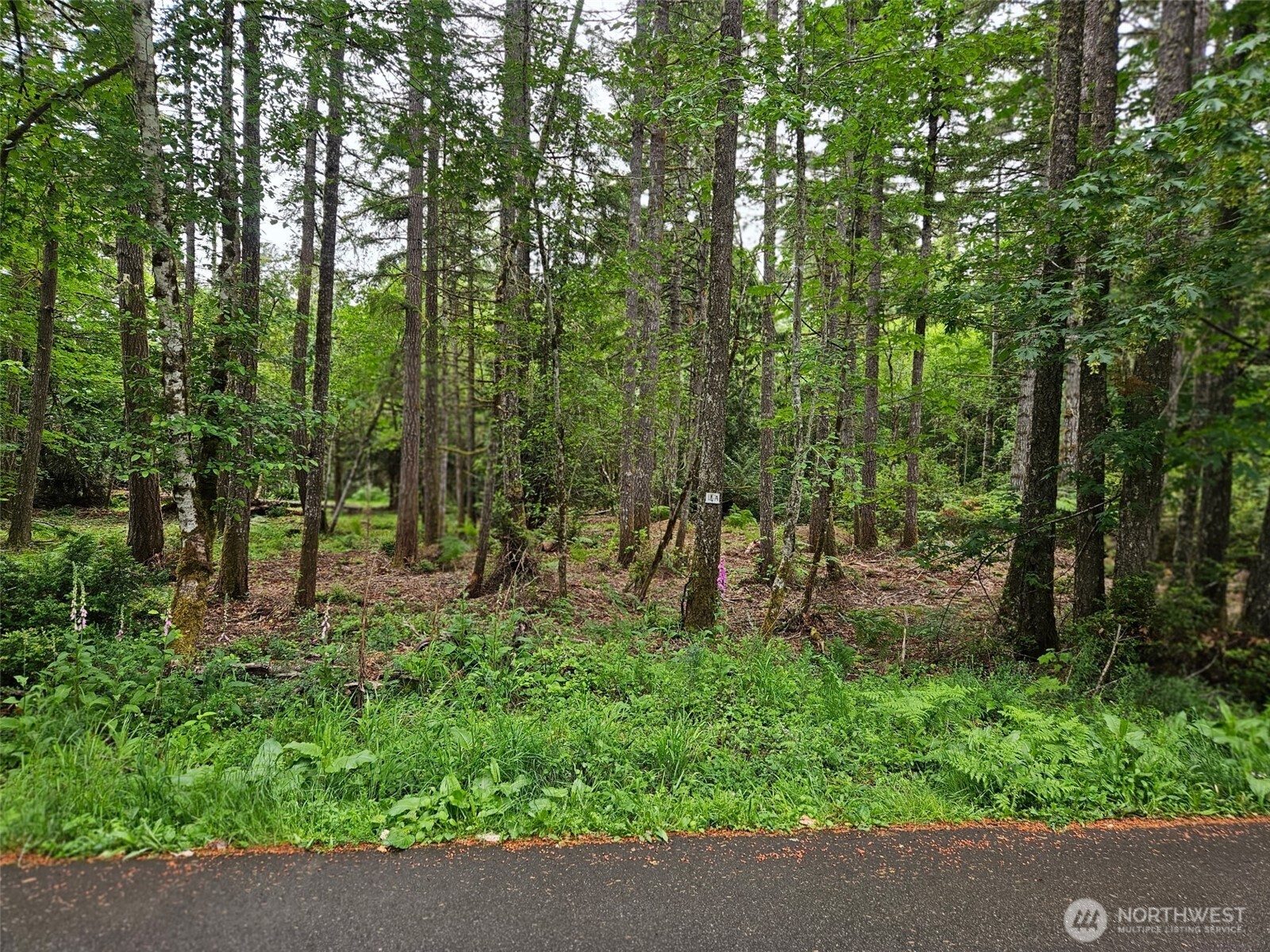 870 East Wilson Way Grapeview, WA 98546 - Photo 2 of 17