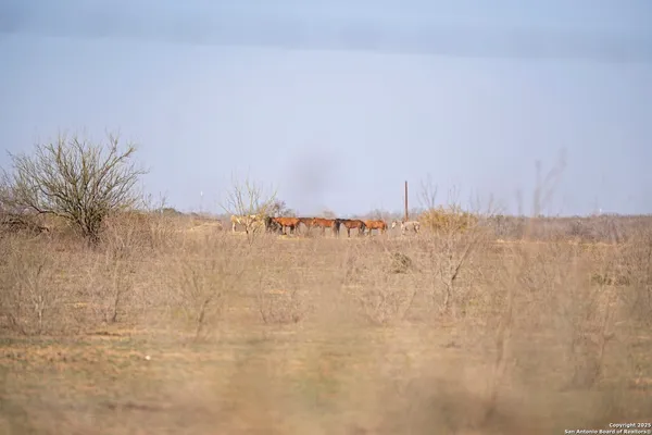 $625,000 | 0 West Payne, Von Ormy, TX 78069