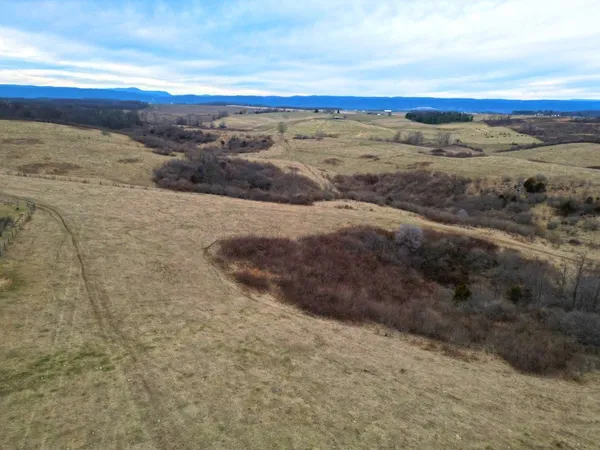 a view of an ocean beach