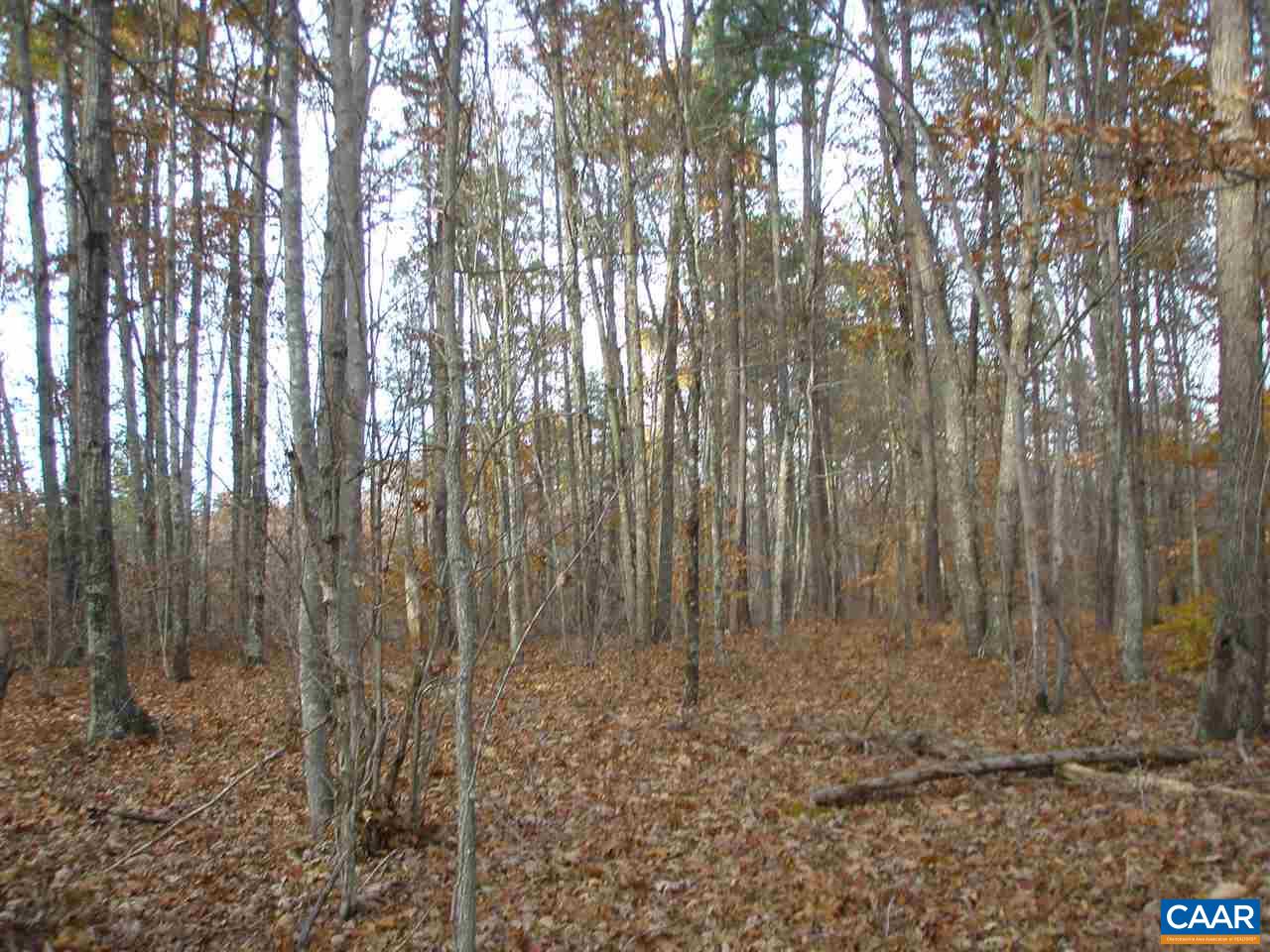 a view of outdoor space with lots of trees