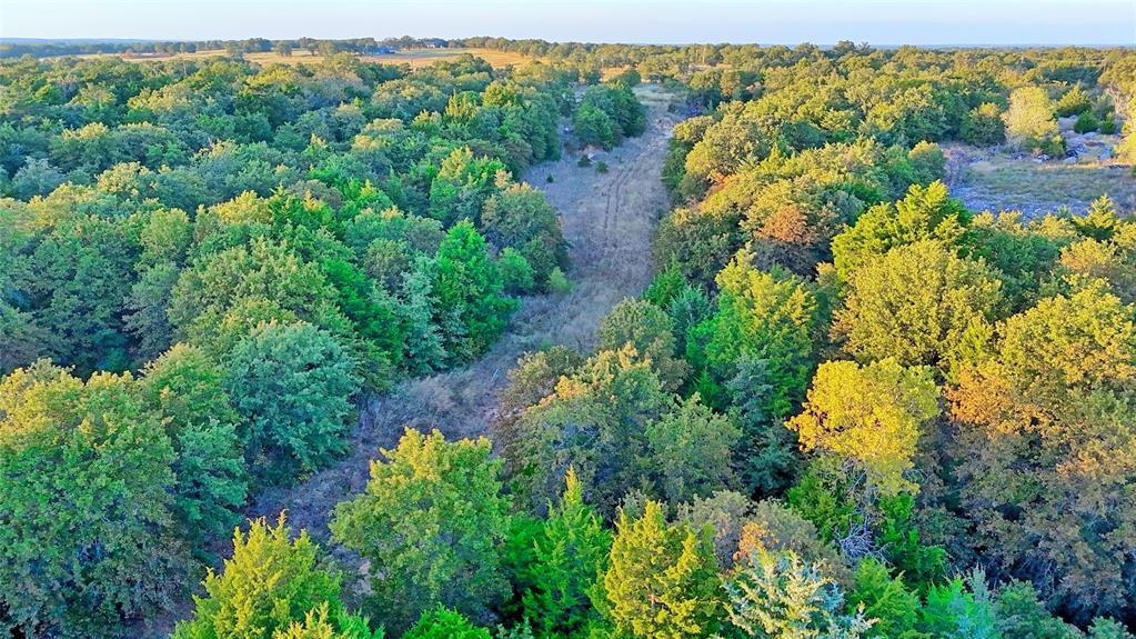 3458 Catholic Cemetery Road Montague, TX 76251 - Photo 12 of 32 a view of a garden