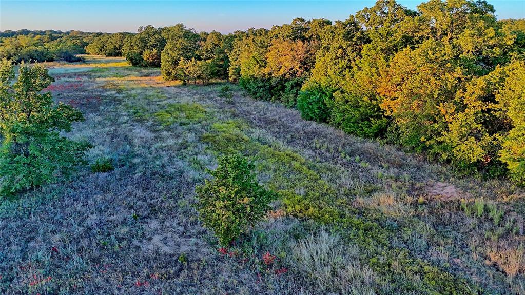 3458 Catholic Cemetery Road Montague, TX 76251 - Photo 20 of 32 a view of a yard with plants and a bench