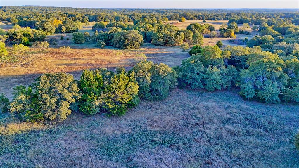 3458 Catholic Cemetery Road Montague, TX 76251 - Photo 23 of 32 a view of a yard with an outdoor space