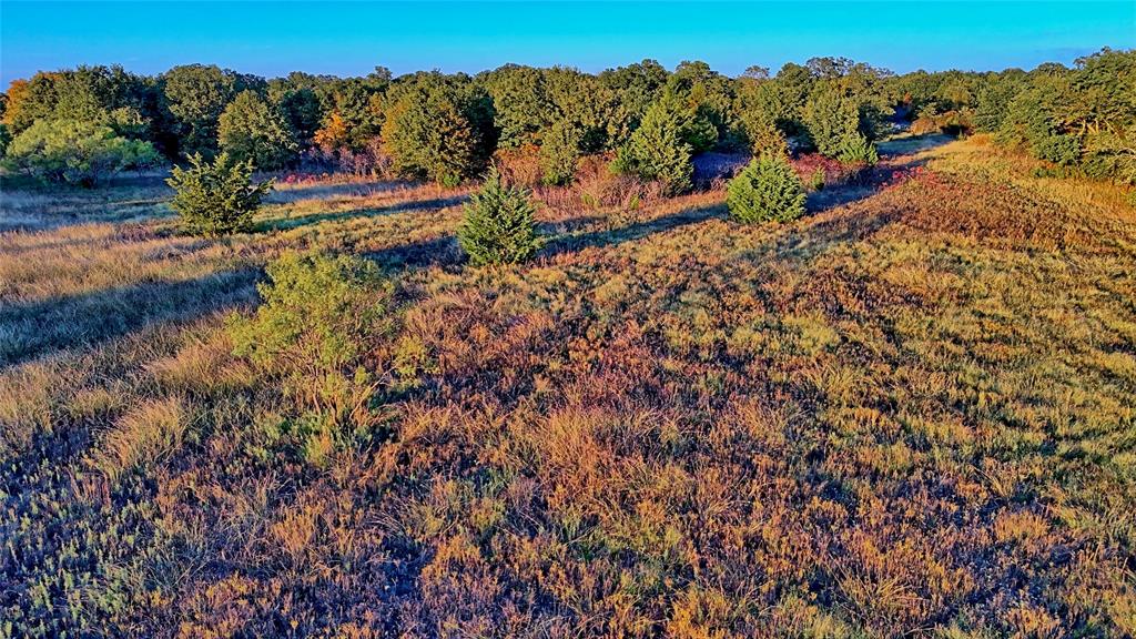 3458 Catholic Cemetery Road Montague, TX 76251 - Photo 25 of 32 a view of a yard with wooden fence