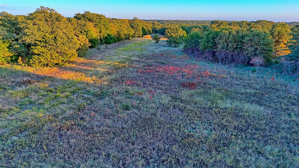 3458 Catholic Cemetery Road Montague, TX 76251 - Photo 28 of 32 a view of a field with a forest
