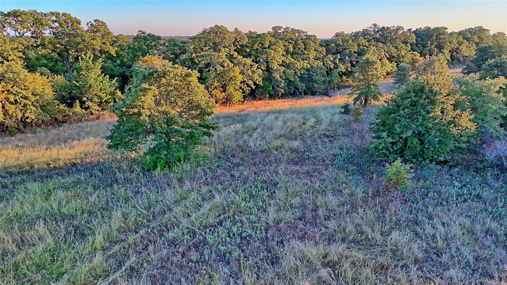 3458 Catholic Cemetery Road Montague, TX 76251 - Photo 29 of 32 a view of a yard with a tree