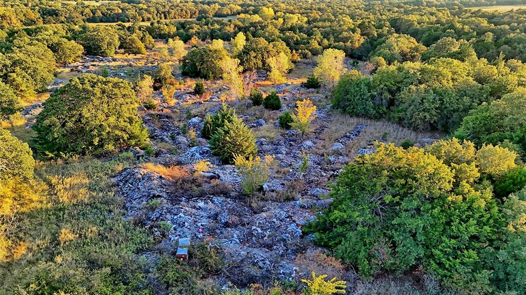 3458 Catholic Cemetery Road Montague, TX 76251 - Photo 6 of 32 a view of a garden with plants and flowers