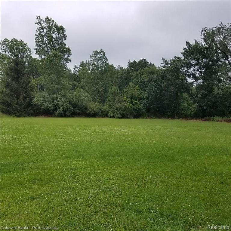 5794 North Latson Road Howell, MI 48855 - Photo 6 of 26