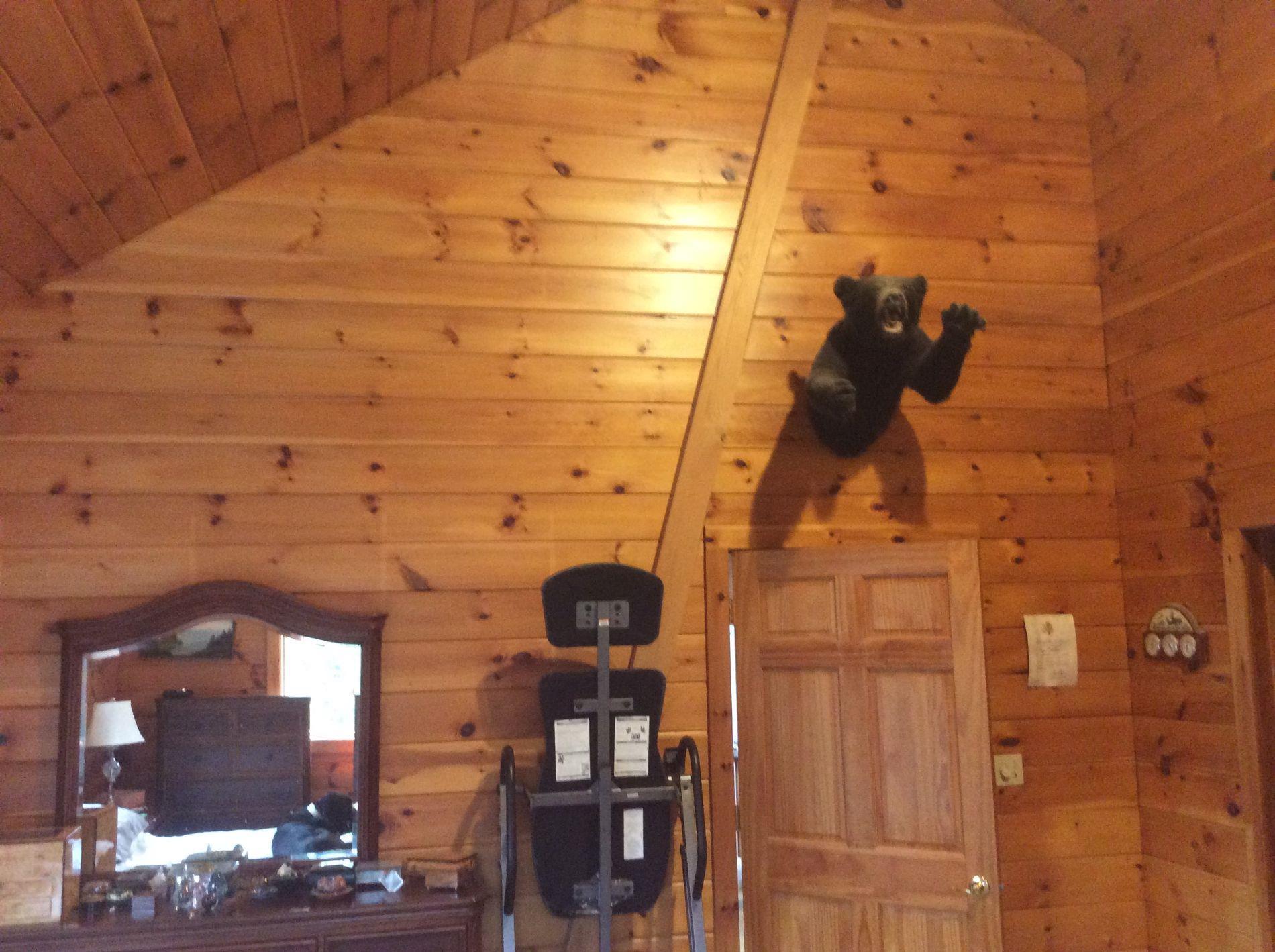 1736 Grimes Road Lyndon, VT 05819 - Photo 17 of 18