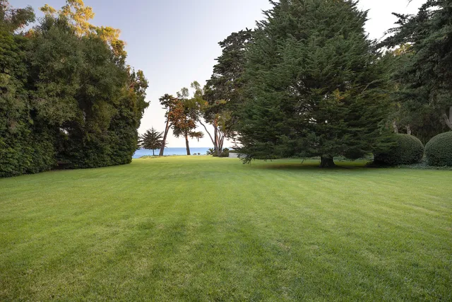 a view of yard with green space