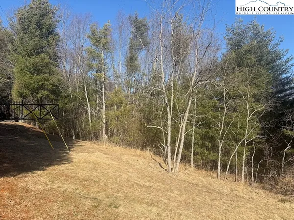 a view of outdoor space and trees