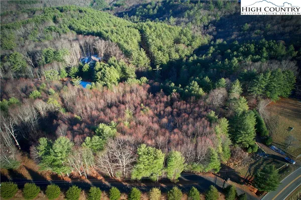 a plant with lots of plants and trees