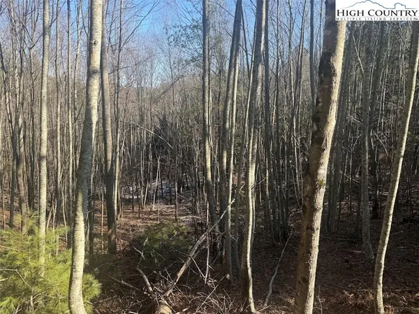 a view of outdoor space with garden