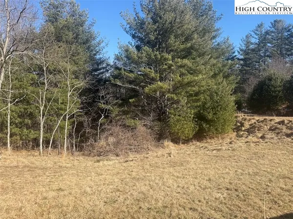 a view of a yard with trees