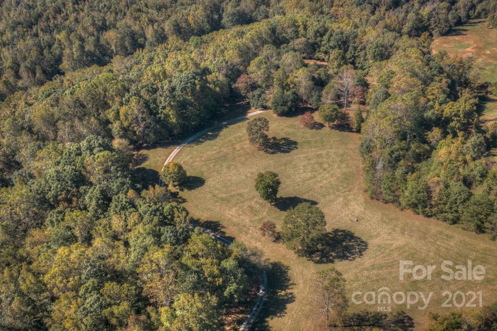 315 North Campbell Road Landrum, SC 29356 - Photo 40 of 40 a view of a forest with a tree