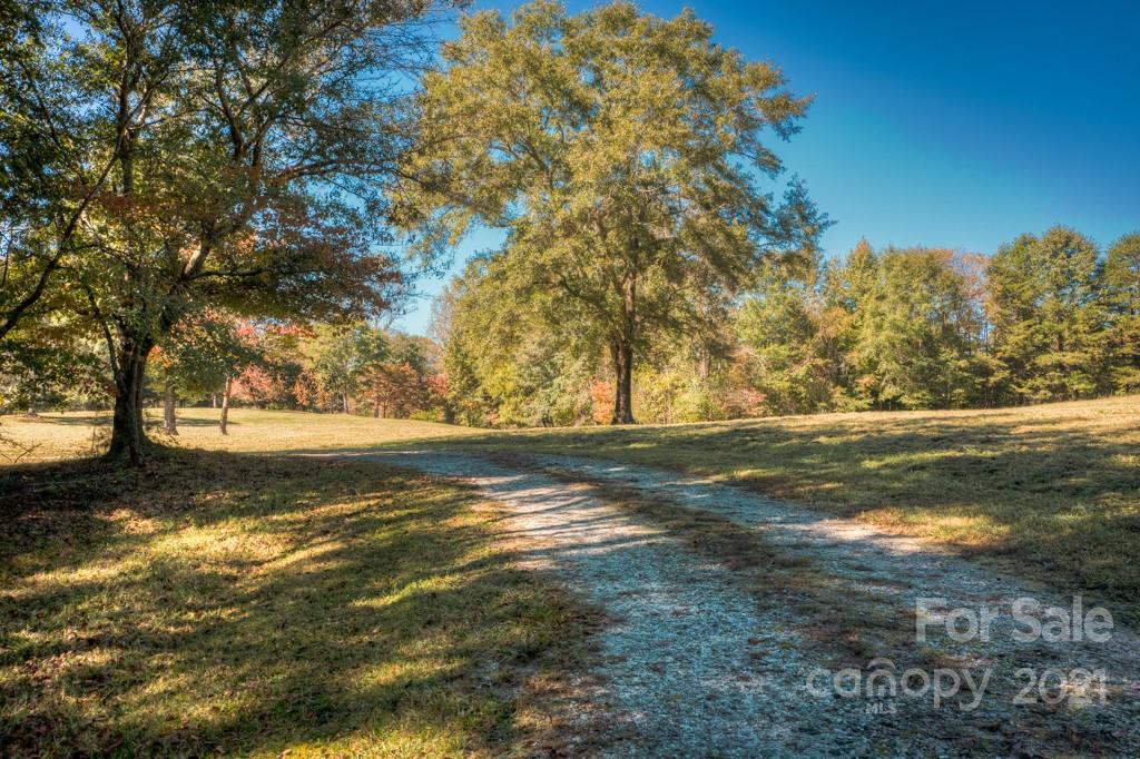 315 North Campbell Road Landrum, SC 29356 - Photo 6 of 40 a view of yard with large trees