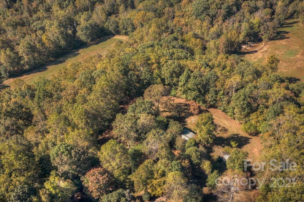 315 North Campbell Road Landrum, SC 29356 - Photo 9 of 40 a view of a yard with a tree