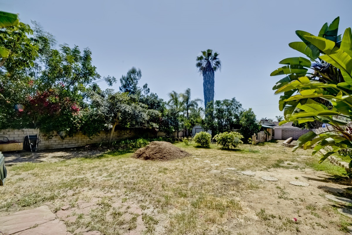 528 Park Lane Encinitas, CA 92024 - Photo 12 of 25