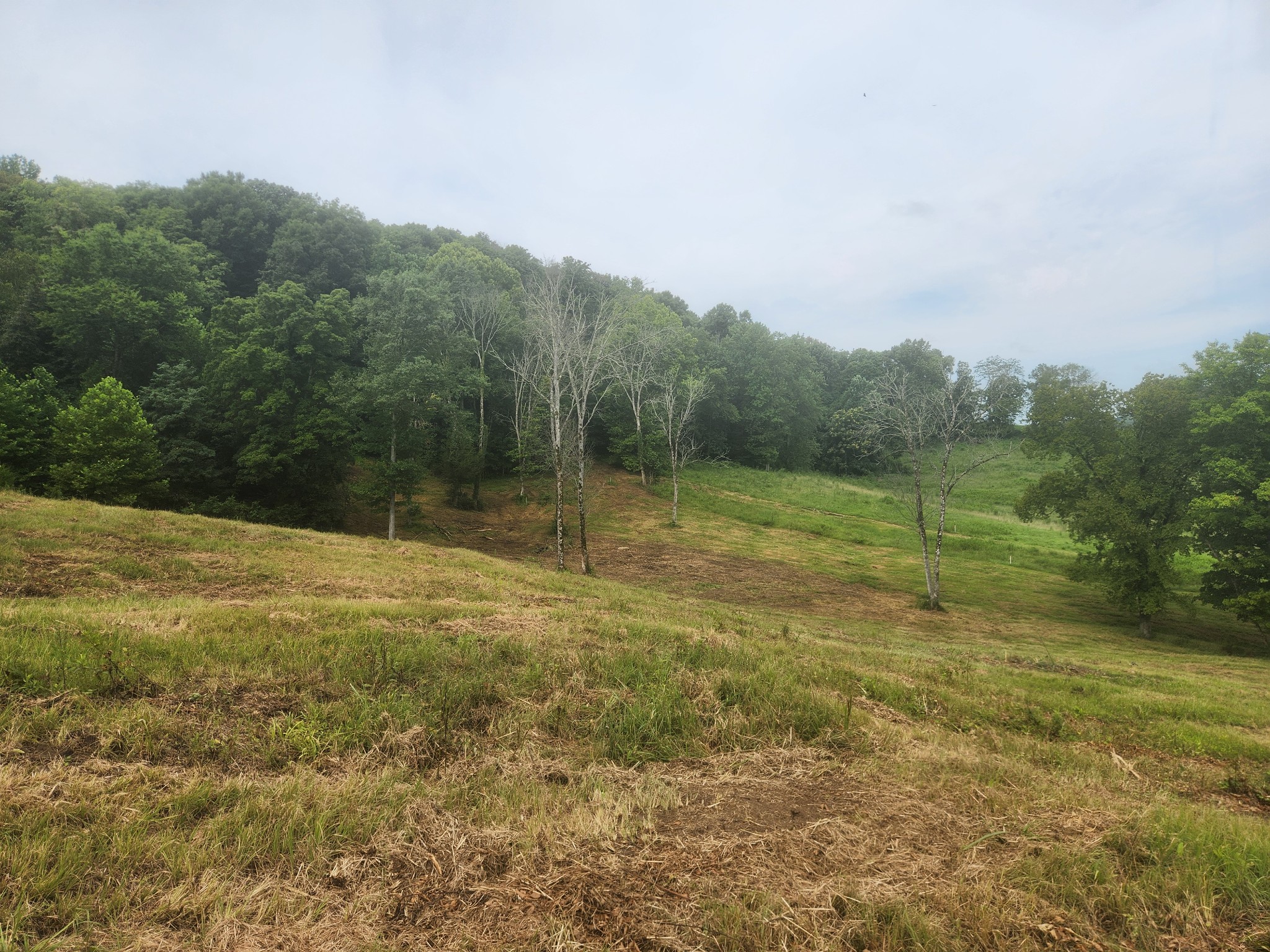 0 Barrett Road Watertown, TN 37184 - Photo 35 of 40 Gallery Image 35