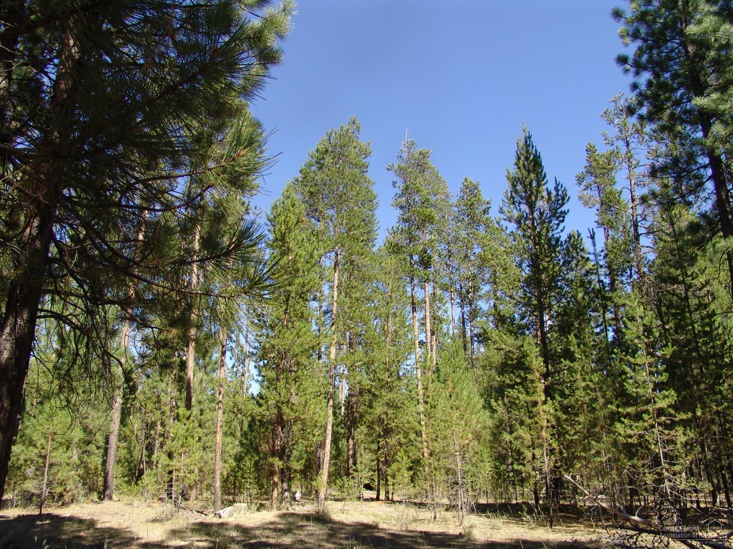 50834 Fawn Loop La Pine, OR 97739 - Photo 11 of 18 Additional Photo