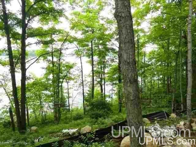Tbd Green Road Michigamme, MI 49861 - Photo 1 of 8 Gallery Image 1