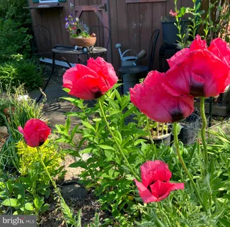 $685,000 | 201 Glendalough Road, Glenside, PA 19038