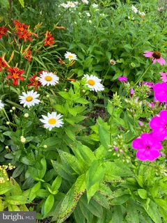 $685,000 | 201 Glendalough Road, Glenside, PA 19038