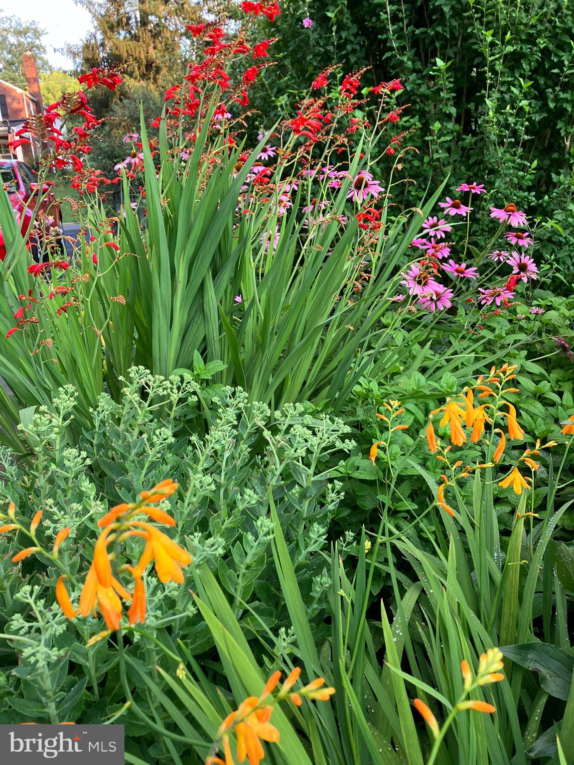 201 Glendalough Road Erdenheim, PA 19038 - Photo 37 of 50