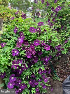 $685,000 | 201 Glendalough Road, Glenside, PA 19038