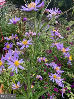 $685,000 | 201 Glendalough Road, Glenside, PA 19038