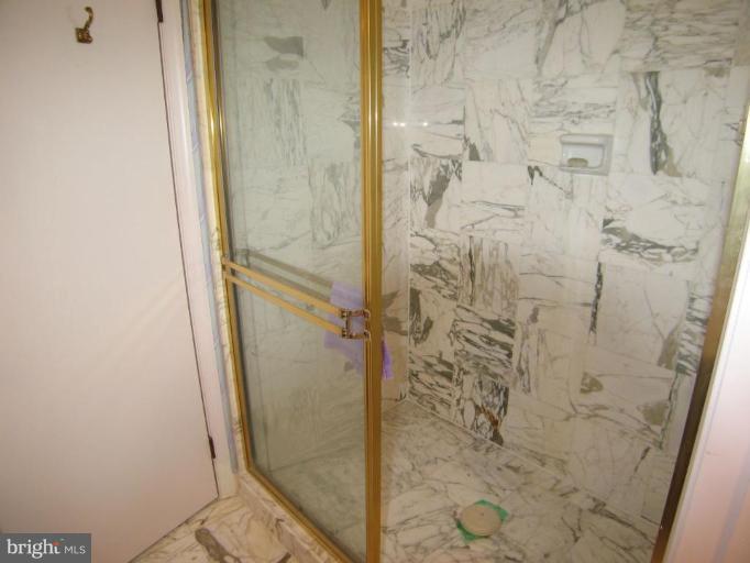 1101 South Arlington Ridge Road, Unit 514 Arlington, VA 22202 - Photo 12 of 24 2nd Master Bath shower