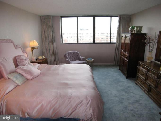 1101 South Arlington Ridge Road, Unit 514 Arlington, VA 22202 - Photo 14 of 24 Master Bedroom