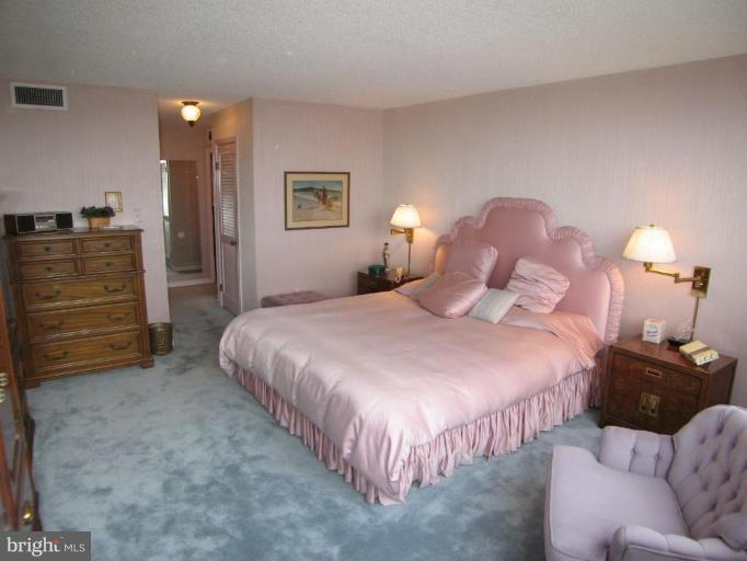 1101 South Arlington Ridge Road, Unit 514 Arlington, VA 22202 - Photo 15 of 24 Master Bedroom #2