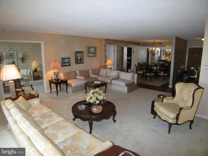 1101 South Arlington Ridge Road, Unit 514 Arlington, VA 22202 - Photo 6 of 24 Living Room #3