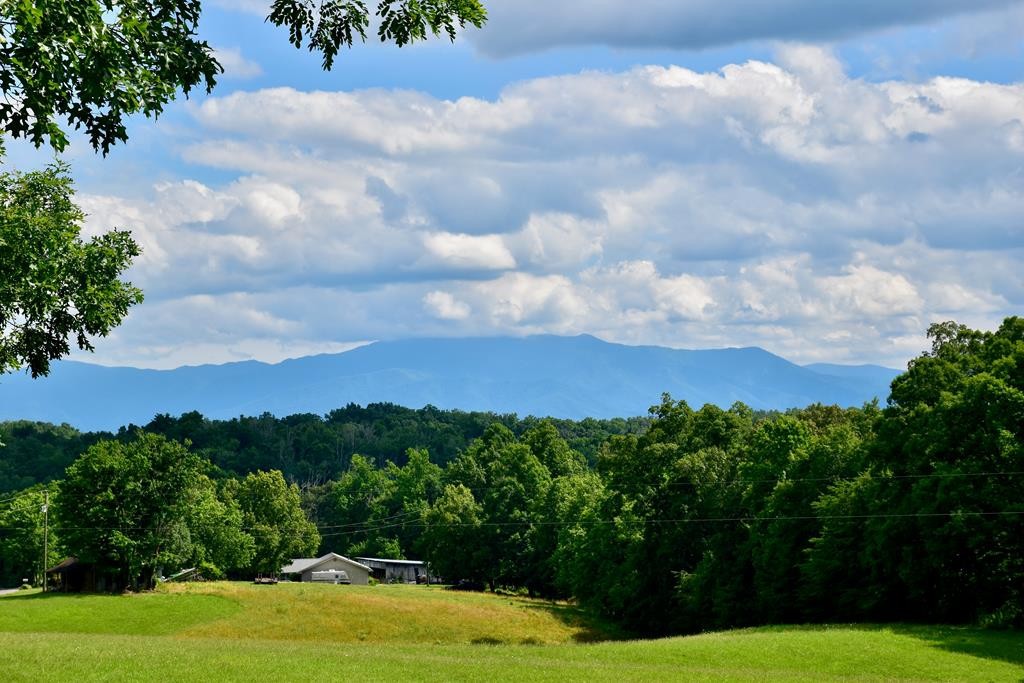 5 Sims Road Sevierville, TN 37876 - Photo 1 of 9 Gallery Image 1