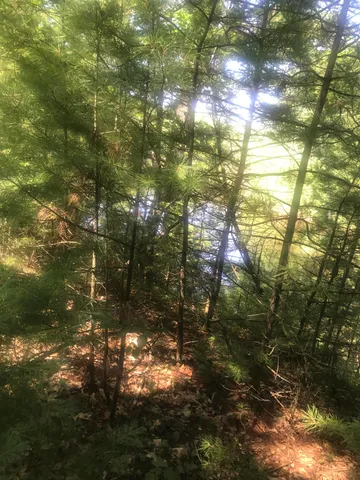 $1,900,000 | 67.9-ac 67.9-ac Fawn, Peshtigo, WI 54157