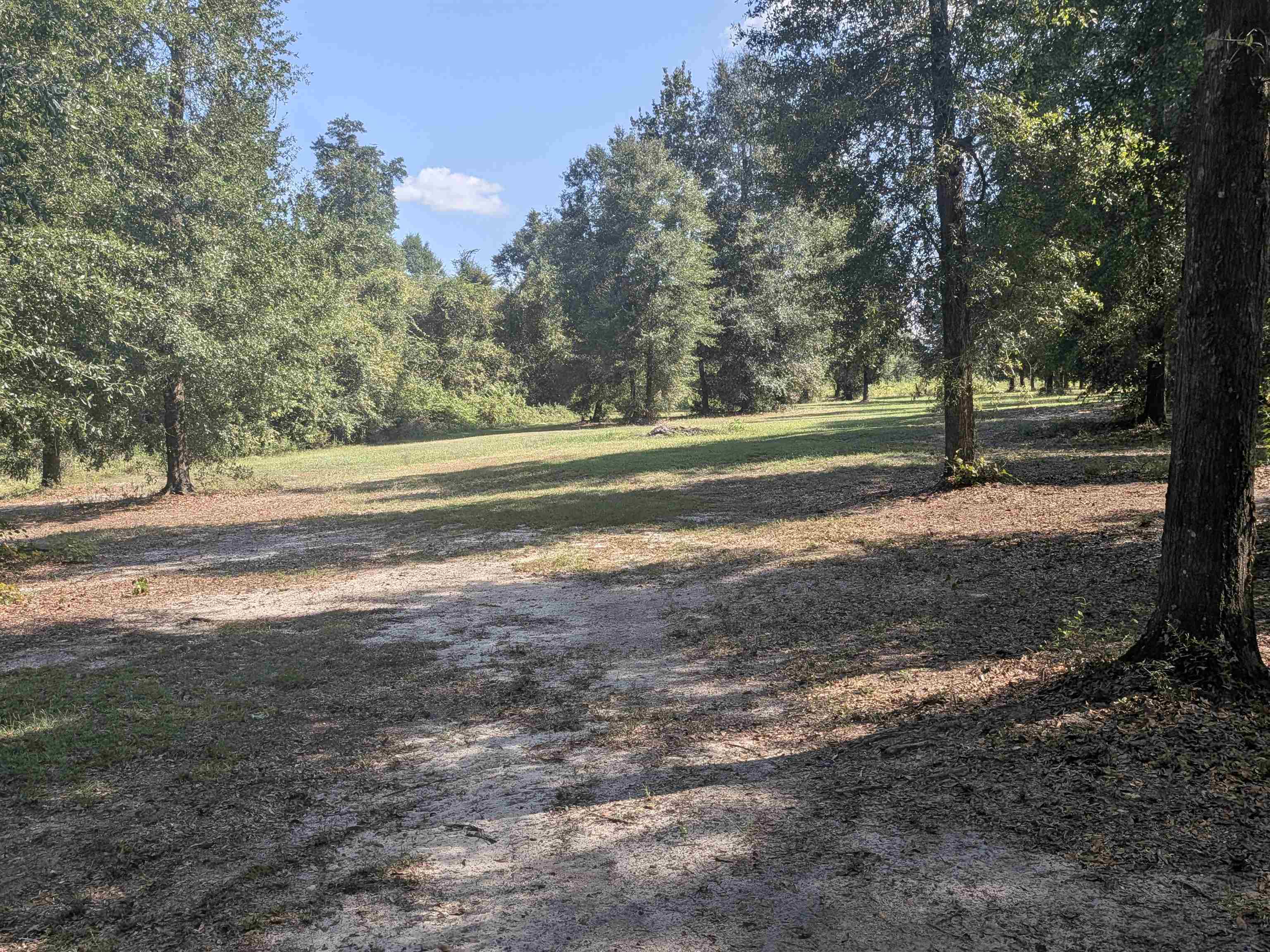 5671 Fort Road Greenwood, FL 32443 - Photo 32 of 67 Gallery Image 32