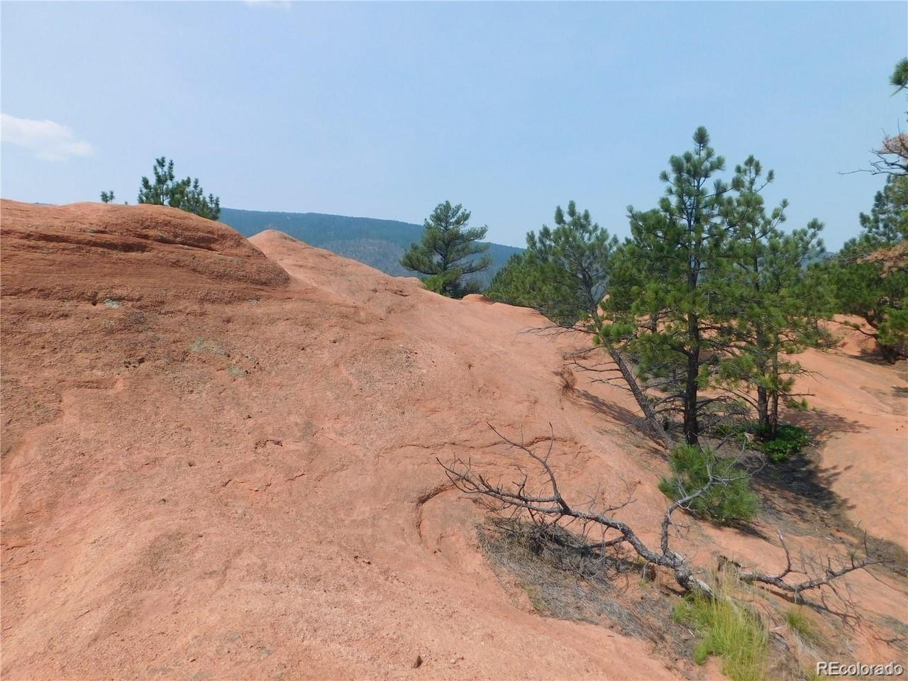 4356 Elati Road Larkspur, CO 80118 - Photo 2 of 10